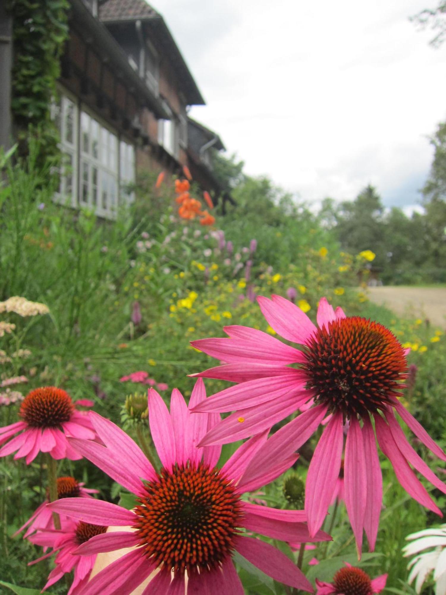 Haus Heidetal Bed & Breakfast Bispingen Eksteriør bilde
