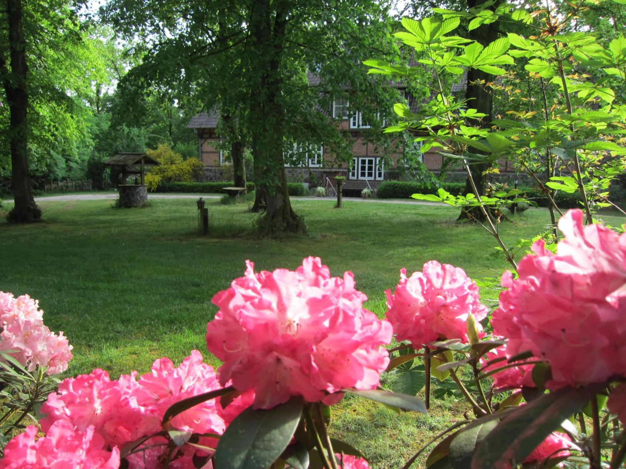 Haus Heidetal Bed & Breakfast Bispingen Eksteriør bilde